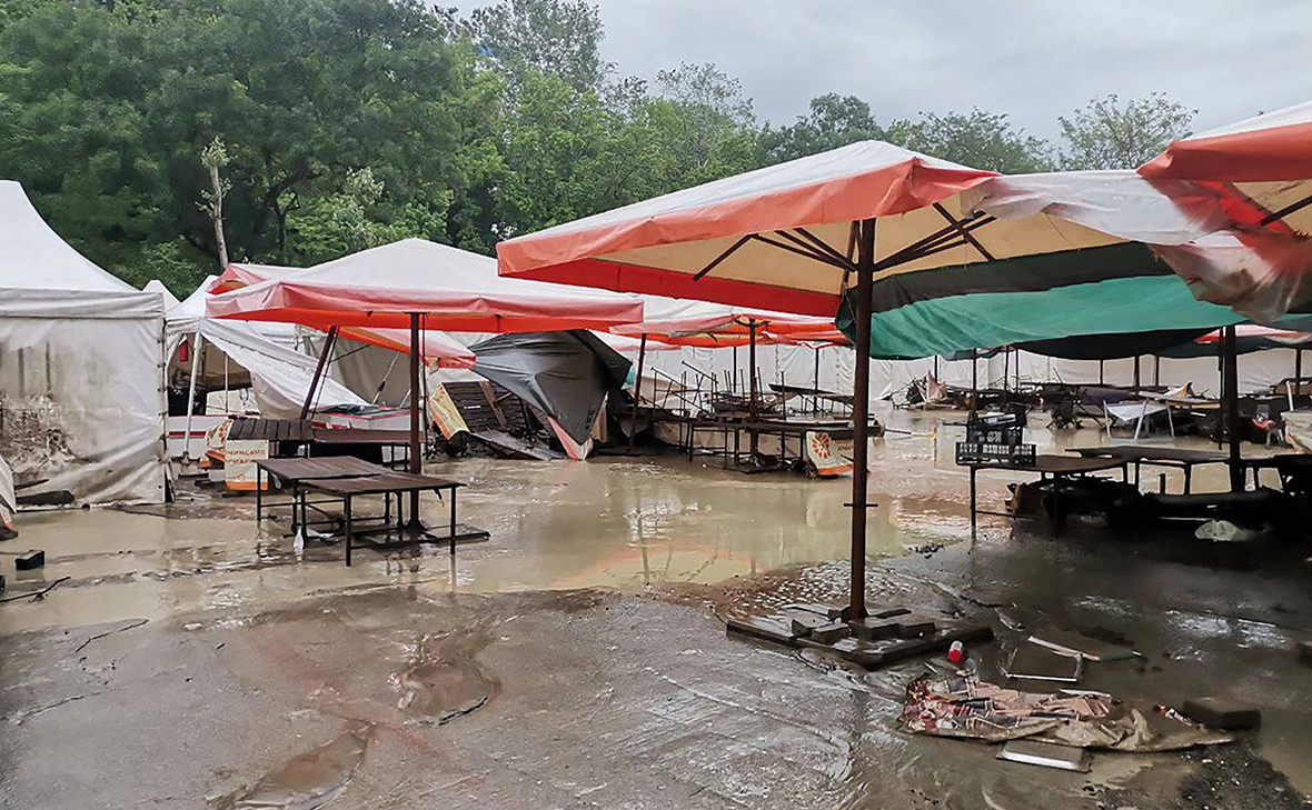 Анна Едигарян / ТАСС