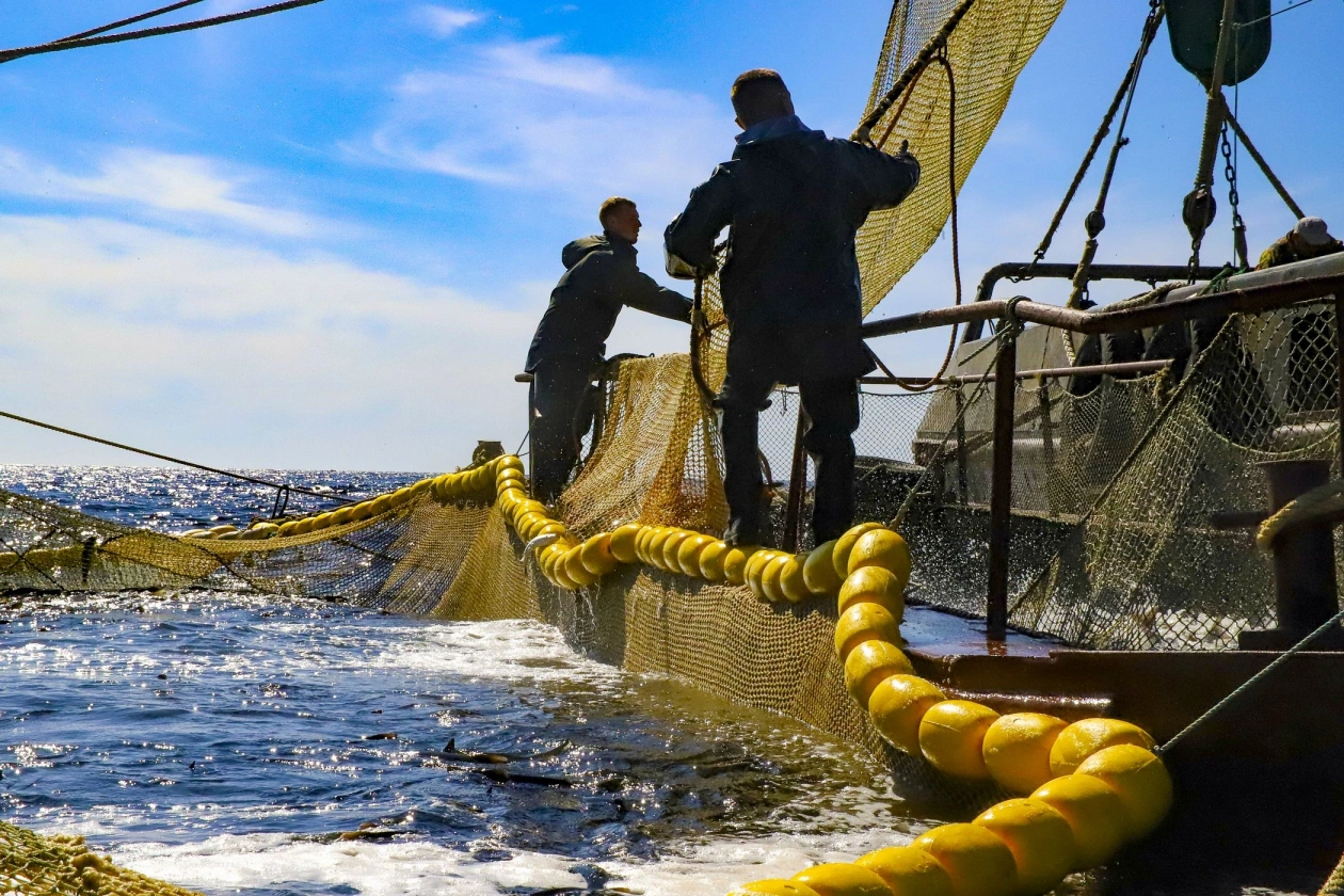 правительство Камчатского края