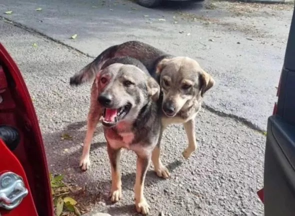 РБК Приморье