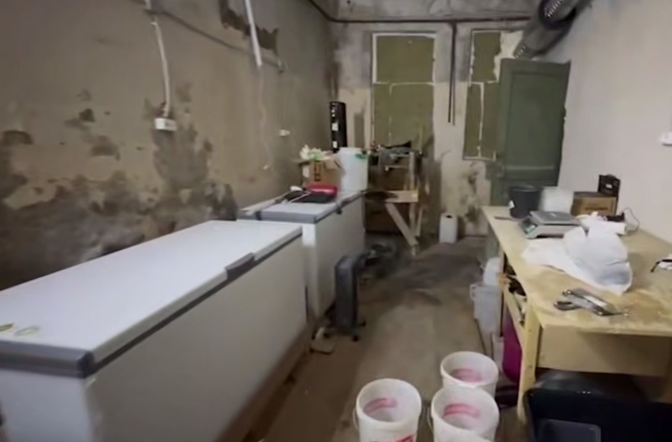 Фото: телеграм-канал Ирины Волк