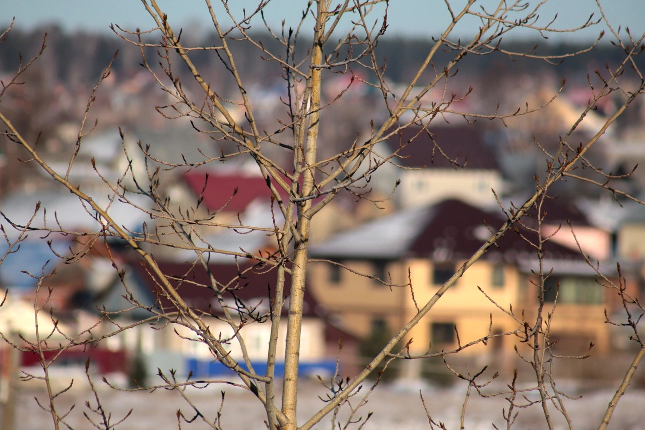 Максим Кимерлинг / РИА URA.RU