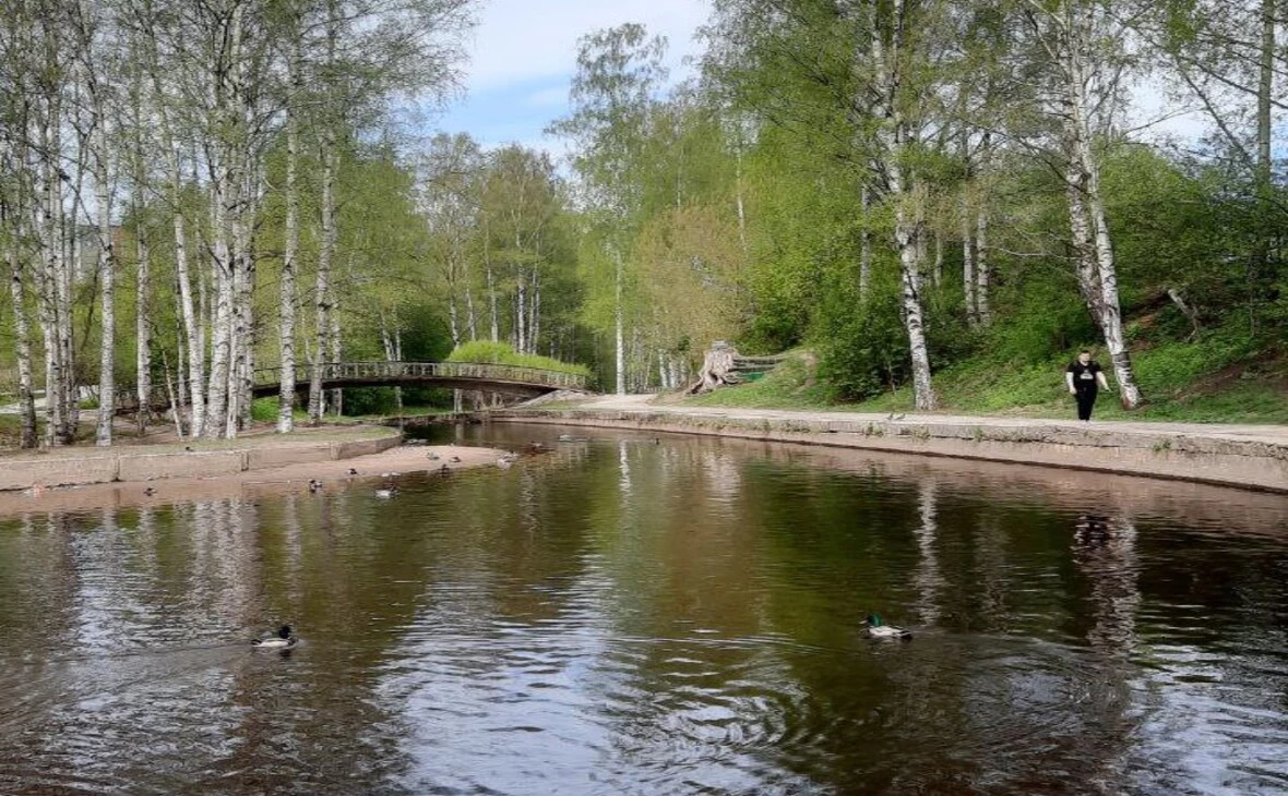 РБК Карелия