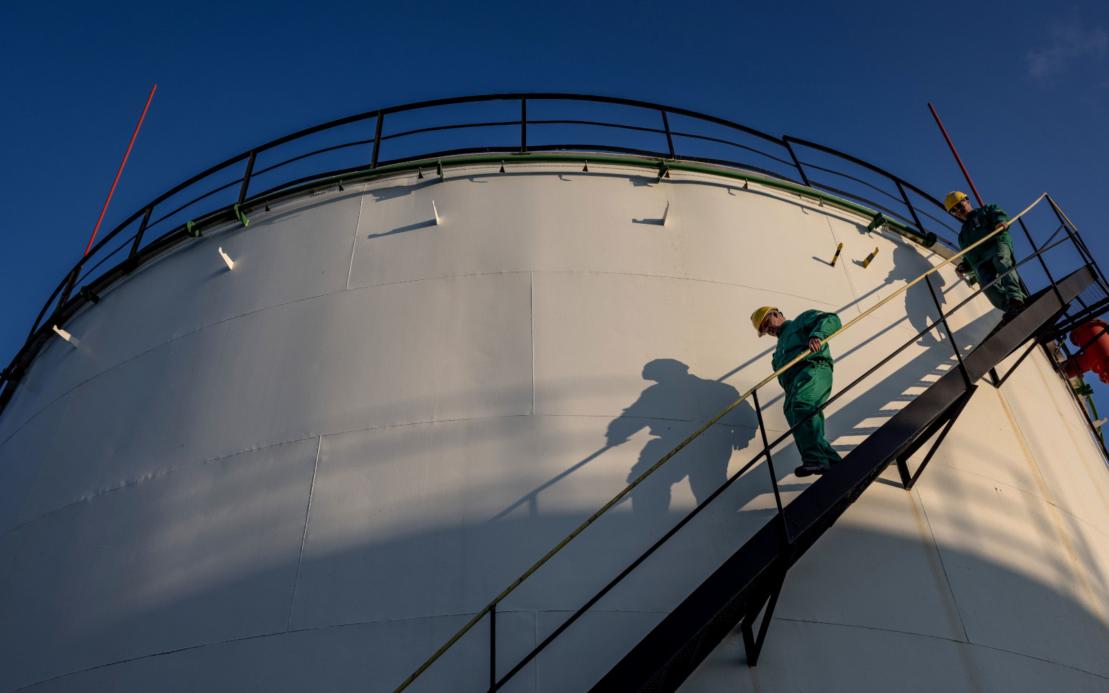 Фото: Janos Kummer/Getty Images