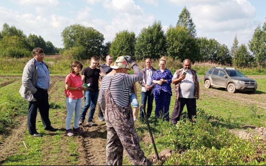 В Вологодском округе проводят эксперимент по импортозамещению картофеля