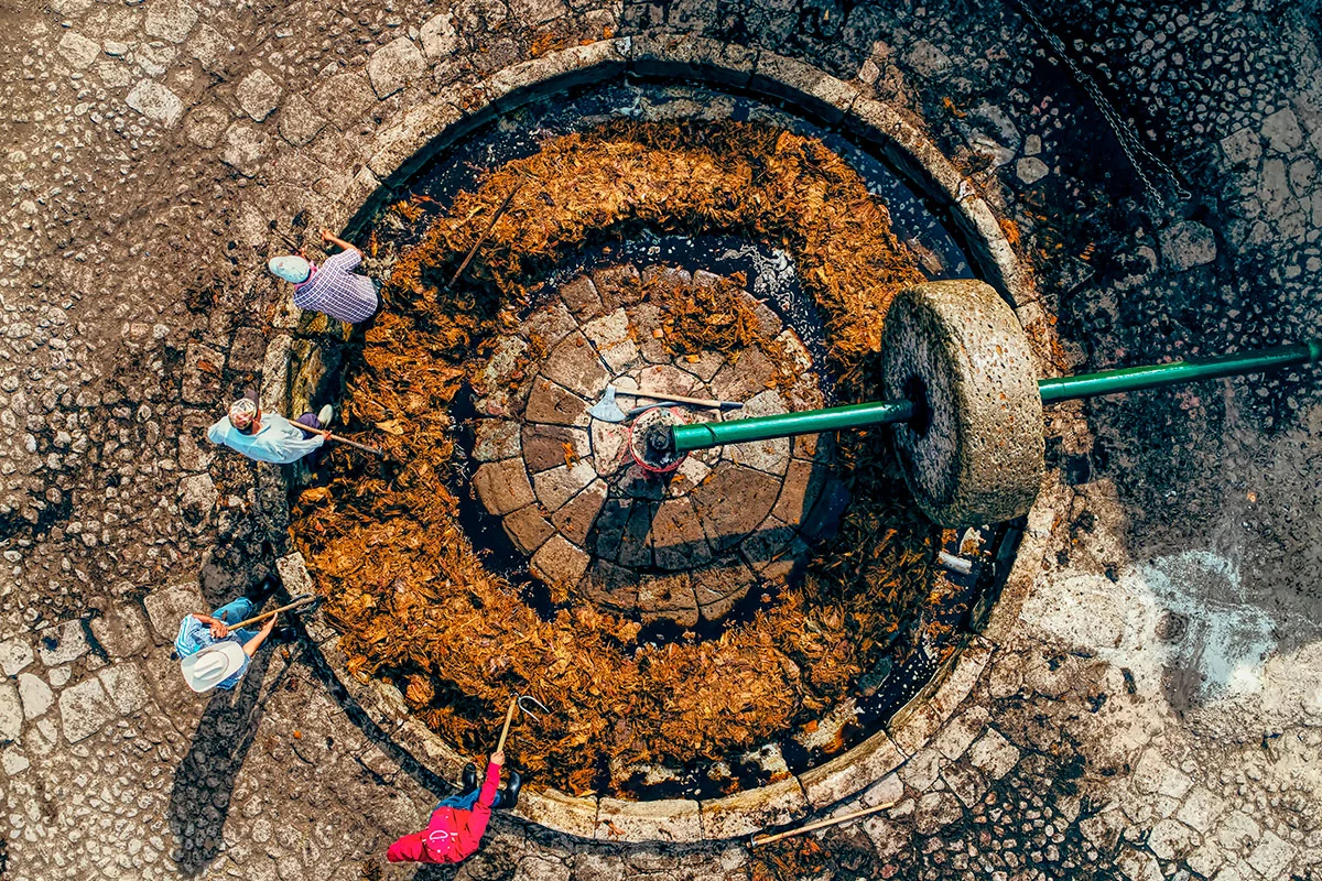 Carlos Garrigos Saucedo / Shutterstock / FOTODOM
