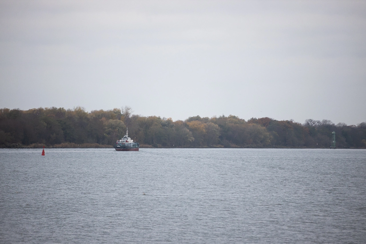 Александр Подгорчук