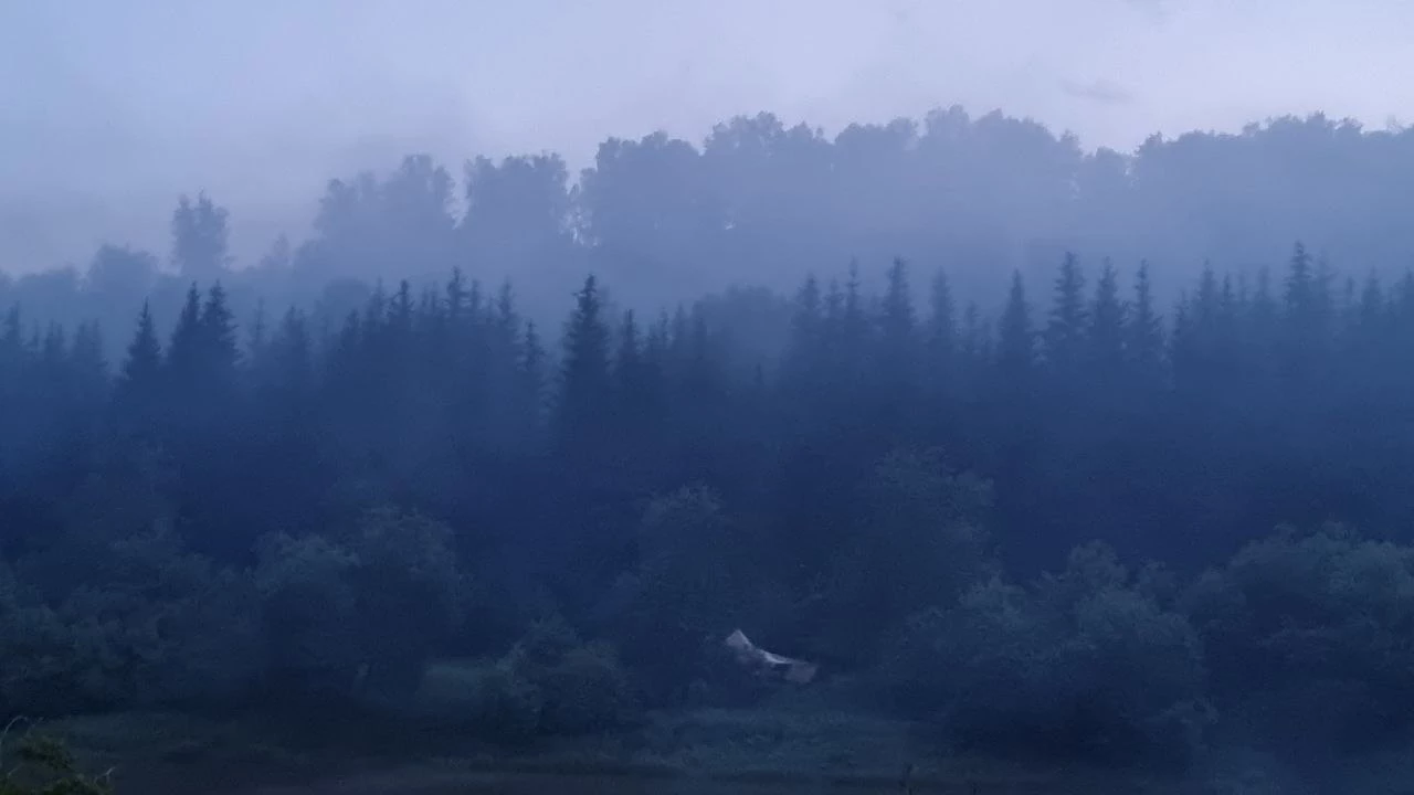 РБК Пермь