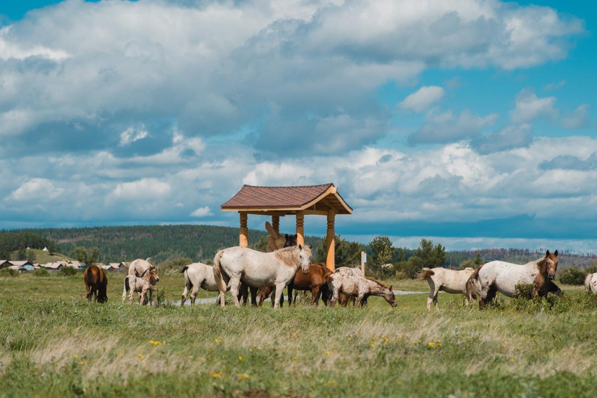 Экотропа в ленд-арт-парке «Тужи»