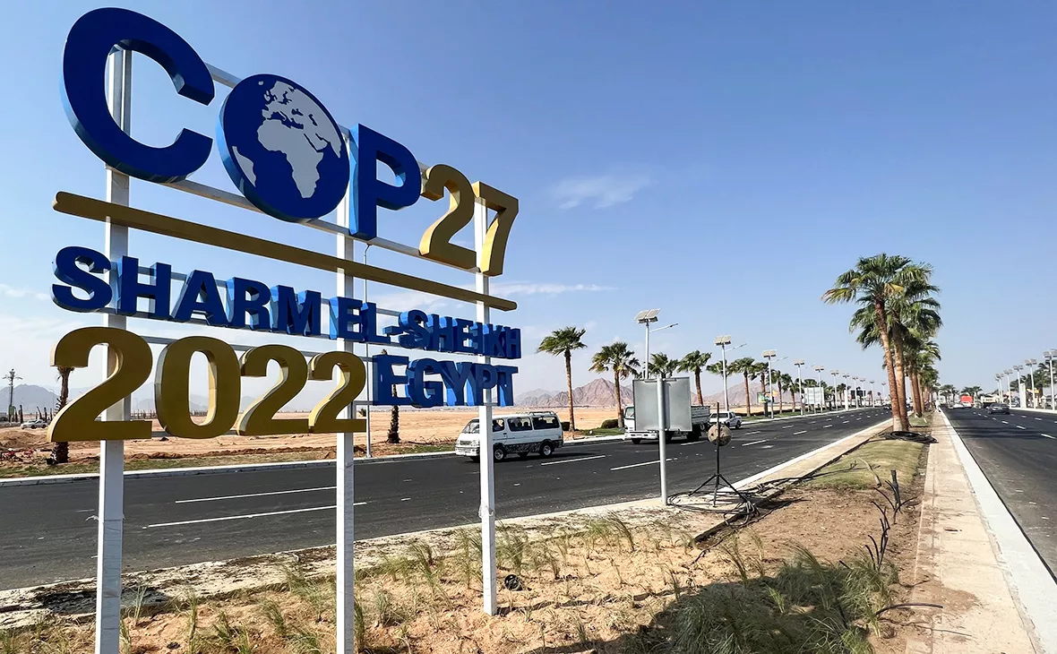 Sayed Sheasha / Reuters