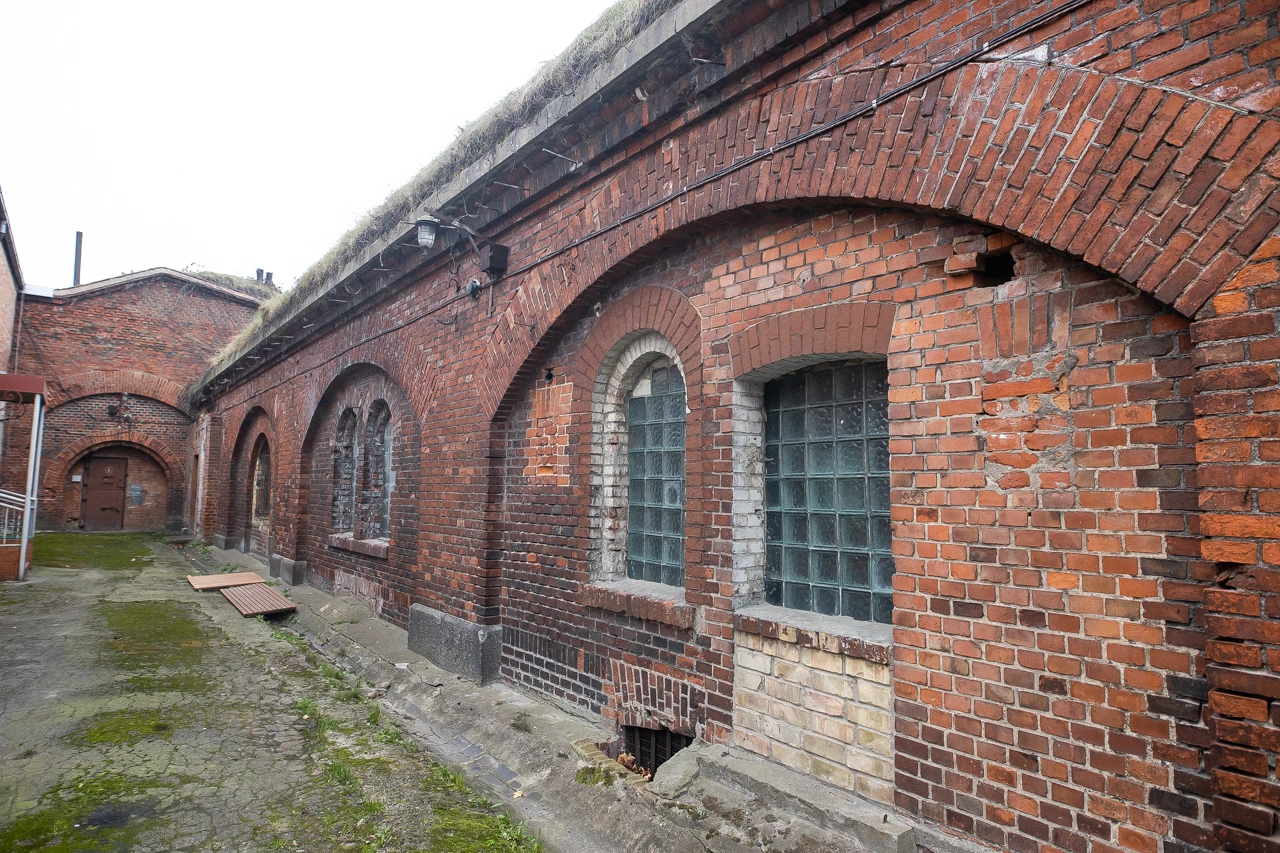 Александр Подгорчук