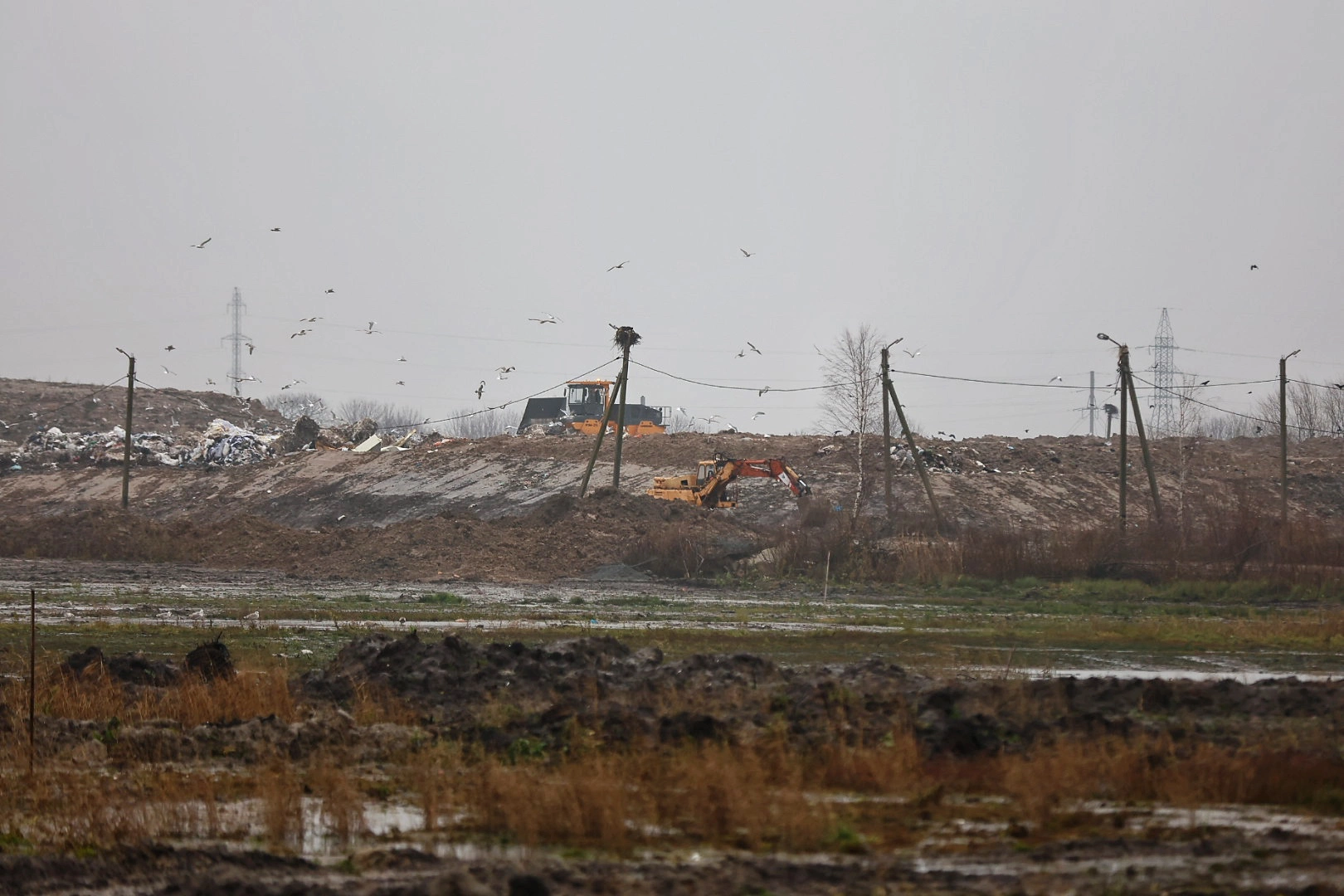 Александр Подгорчук