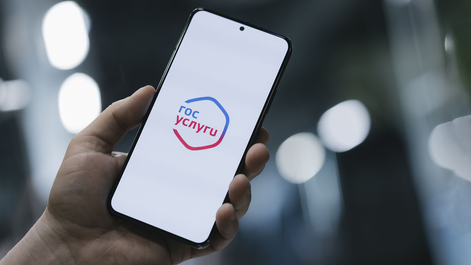 На «Госуслугах» появится сервис измерения скорости интернета