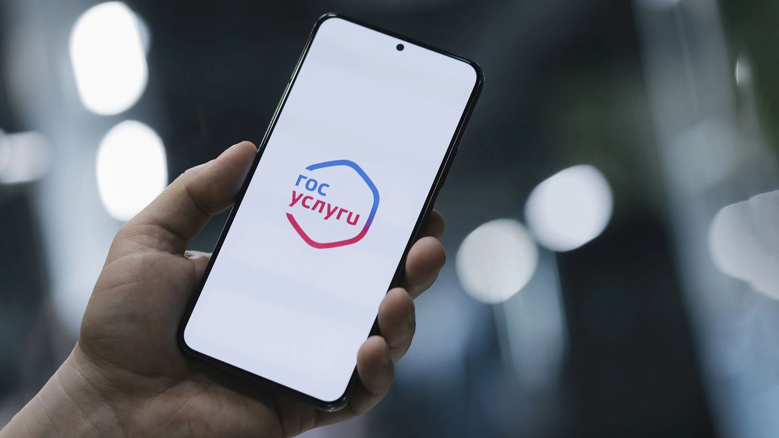 На «Госуслугах» появится сервис измерения скорости интернета