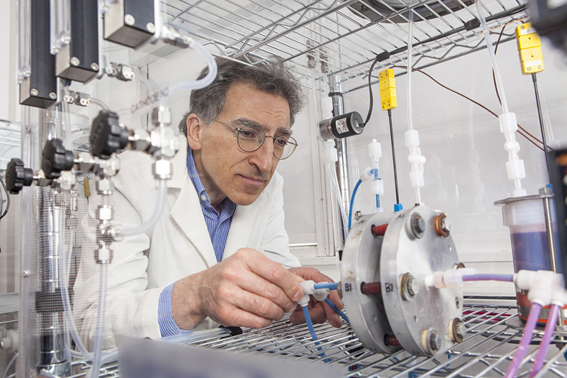 Команда ученых и инженеров Гарварда под руководством профессора Майкла Азиза разработала новый вид проточной батареи – на основе органических молекул, которые содержатся в ревене