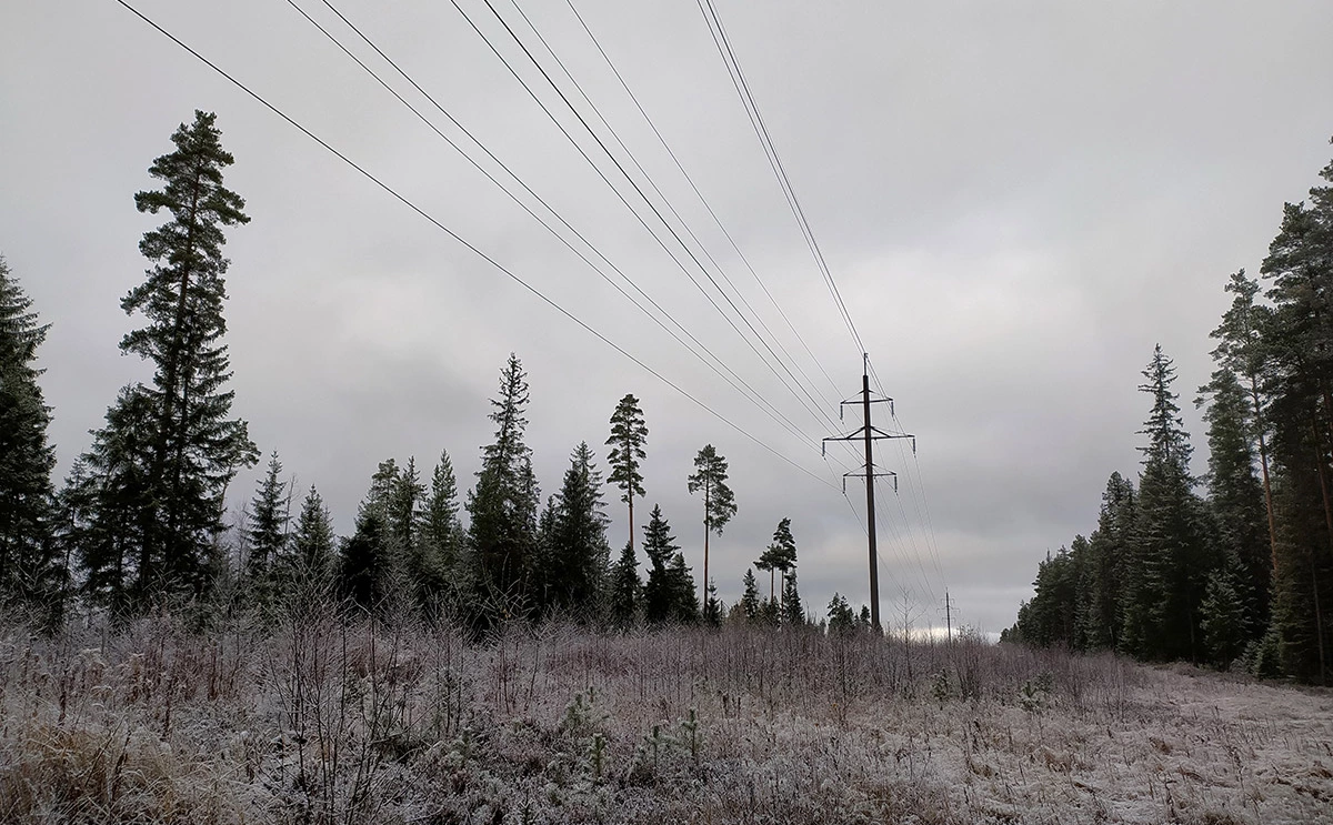 Максим Константинов / Global Look Press