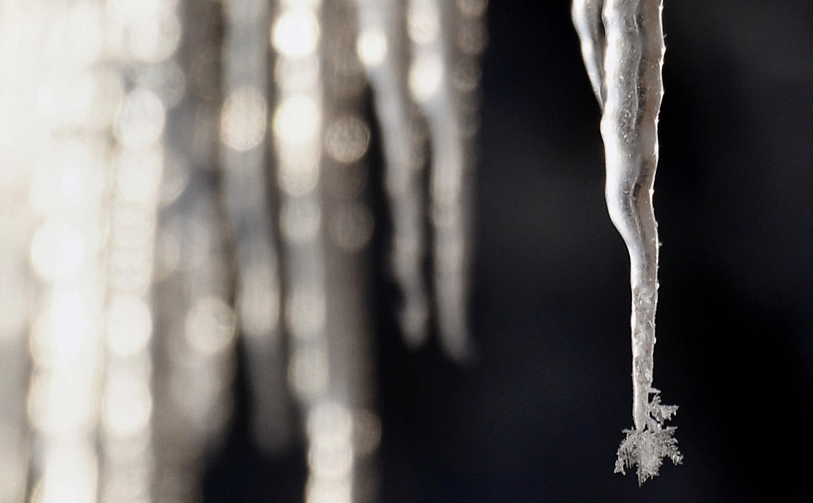 Кирилл Каллиников / РИА Новости