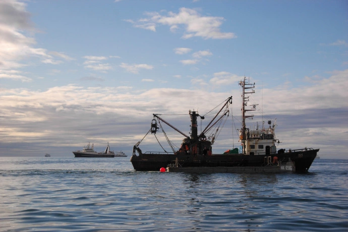 Правительство Камчатского края