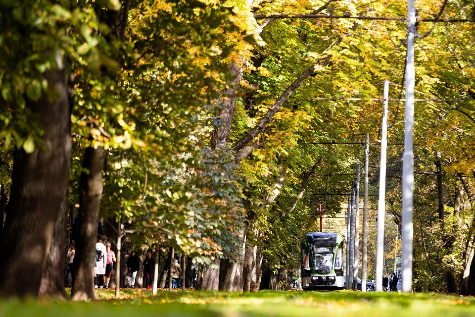 Александр Подгорчук