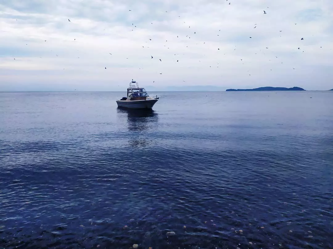 РБК Приморье 