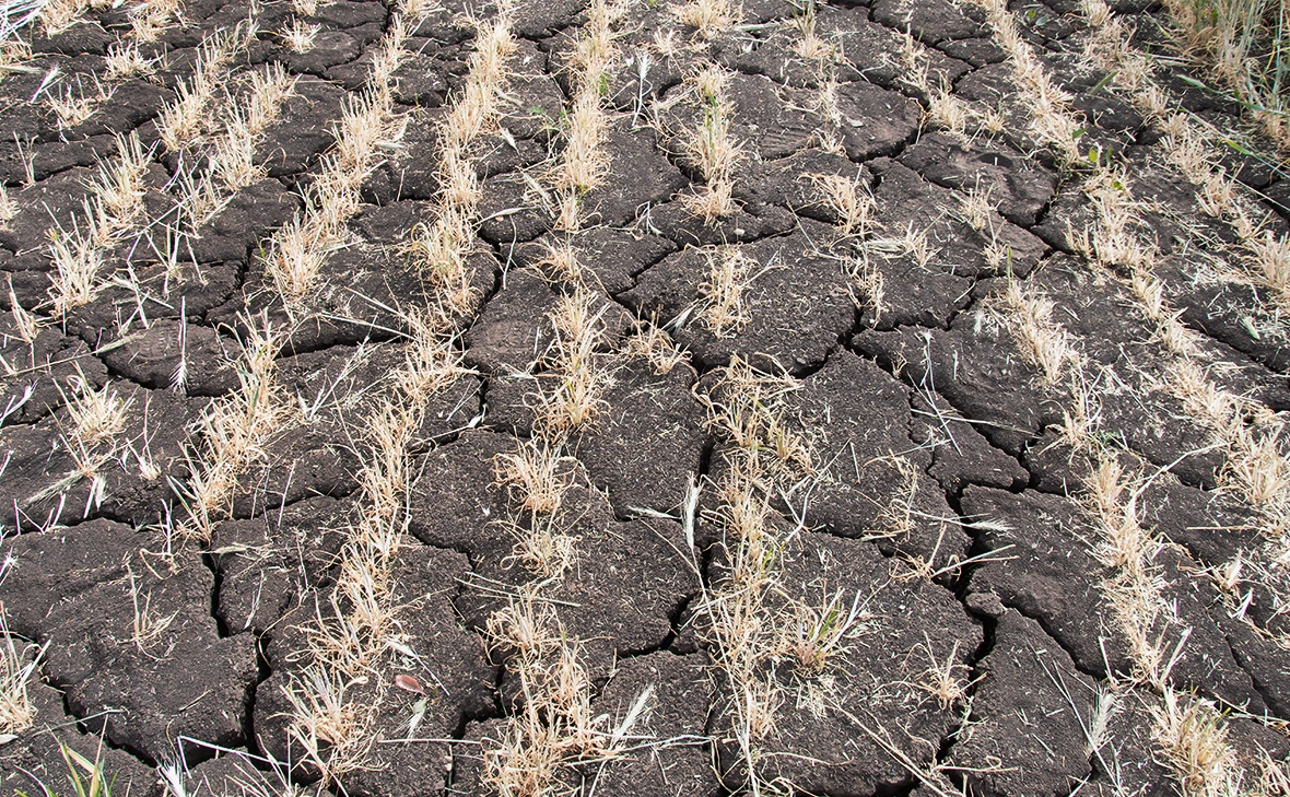  Олег Спиридонов / Бизнес Online / ТАСС