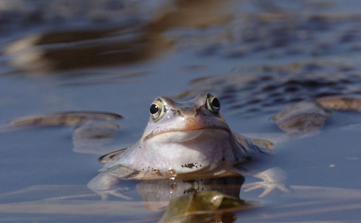 Константин Михайлов / Global Look Press