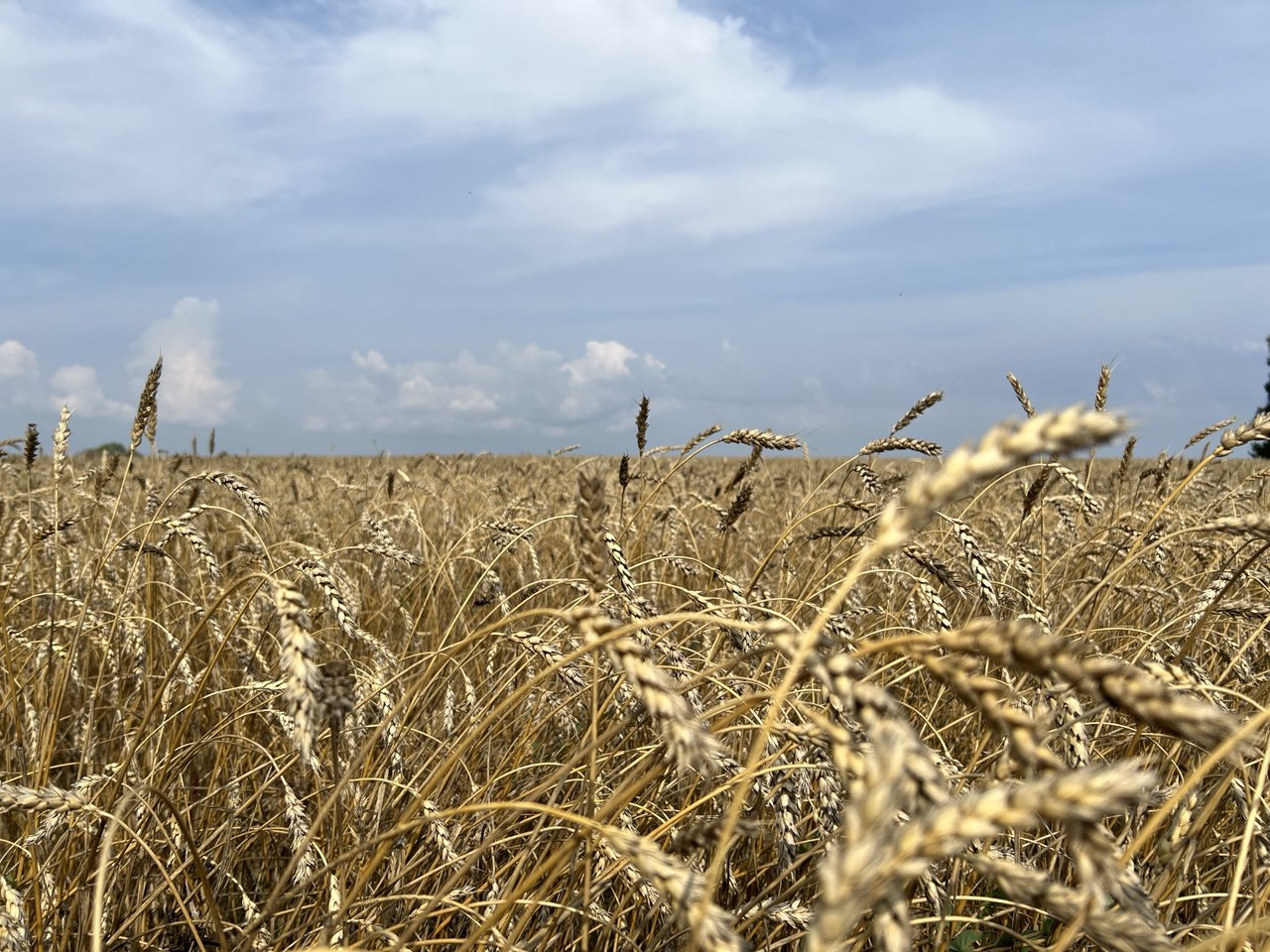 Фото: РБК Татарстан