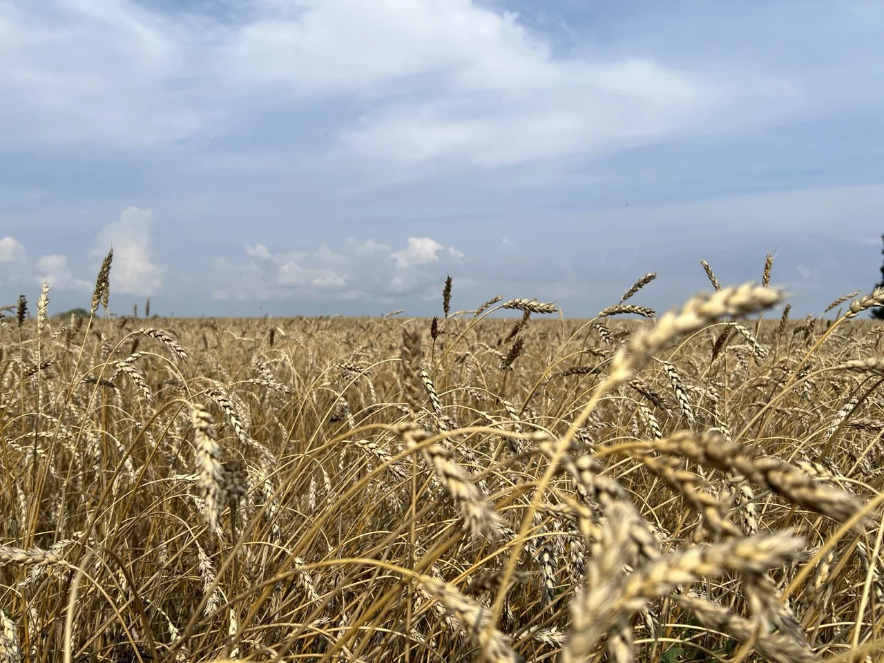 РБК Татарстан