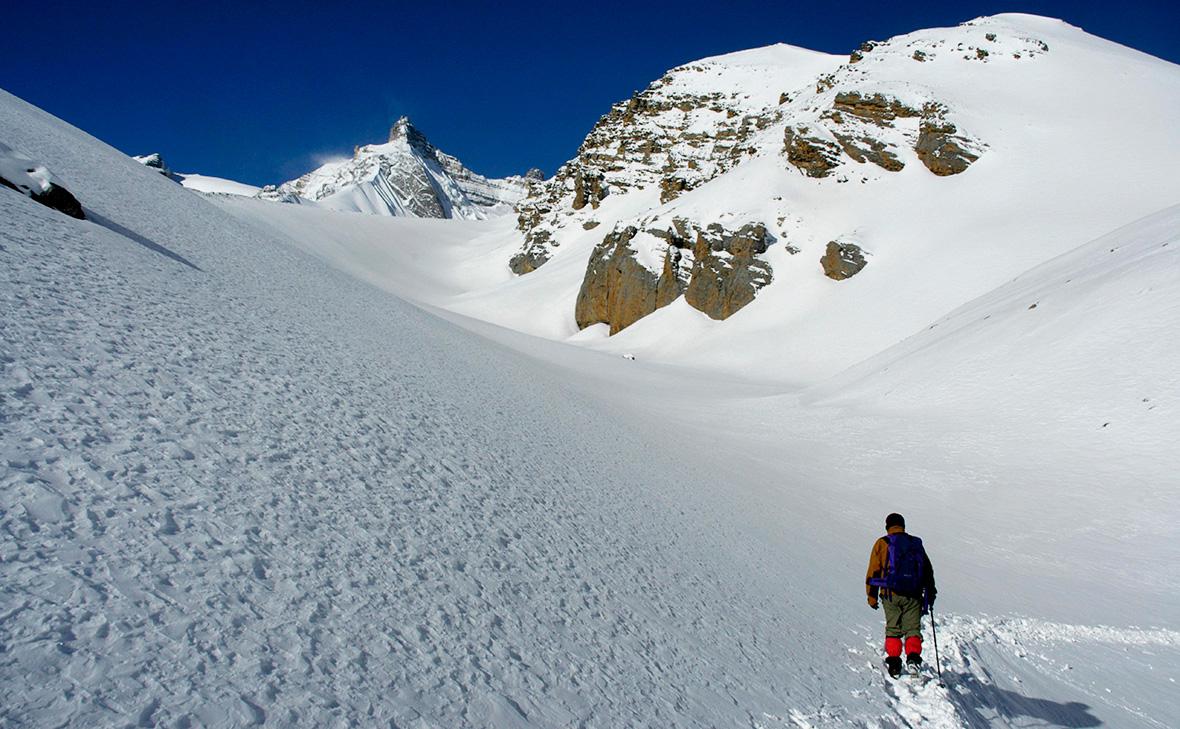 Фото: Stefan Auth / imagebroker.com / Global Look Press