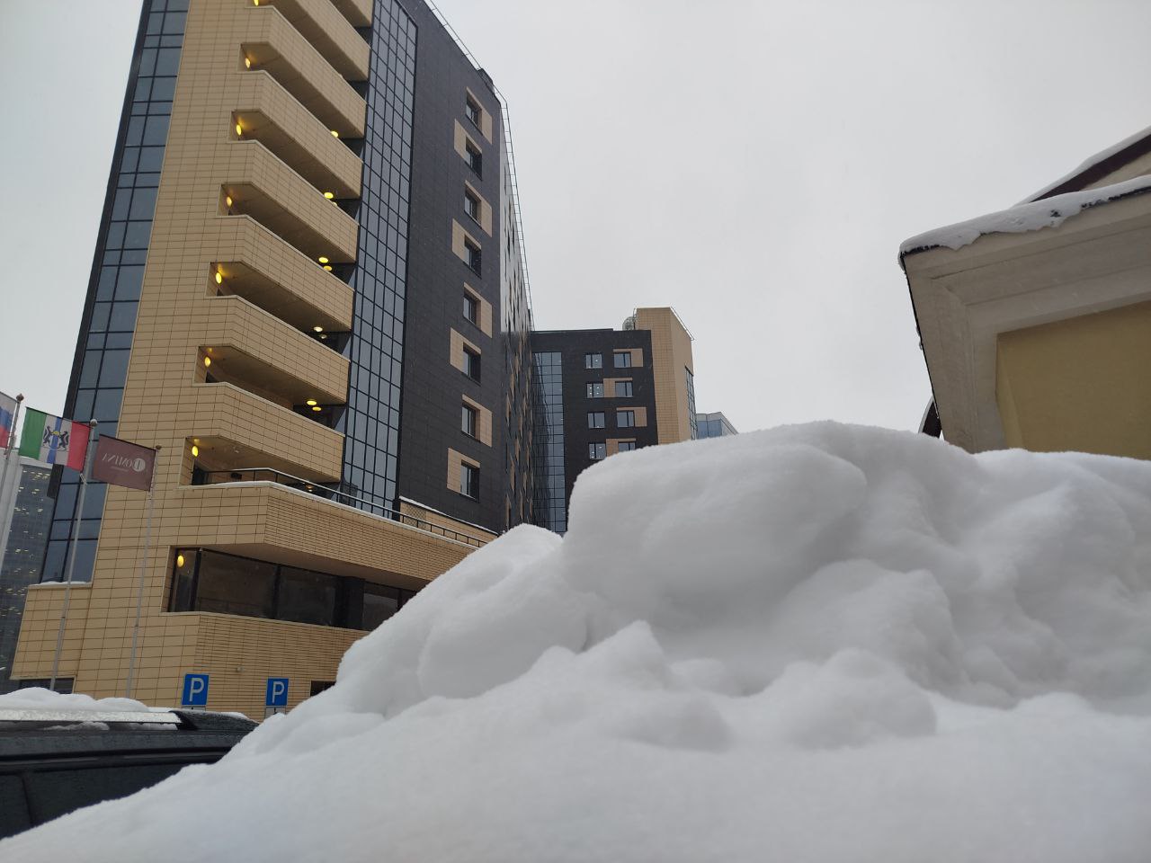 Фото: Анна Иванова / РБК Новосибирск