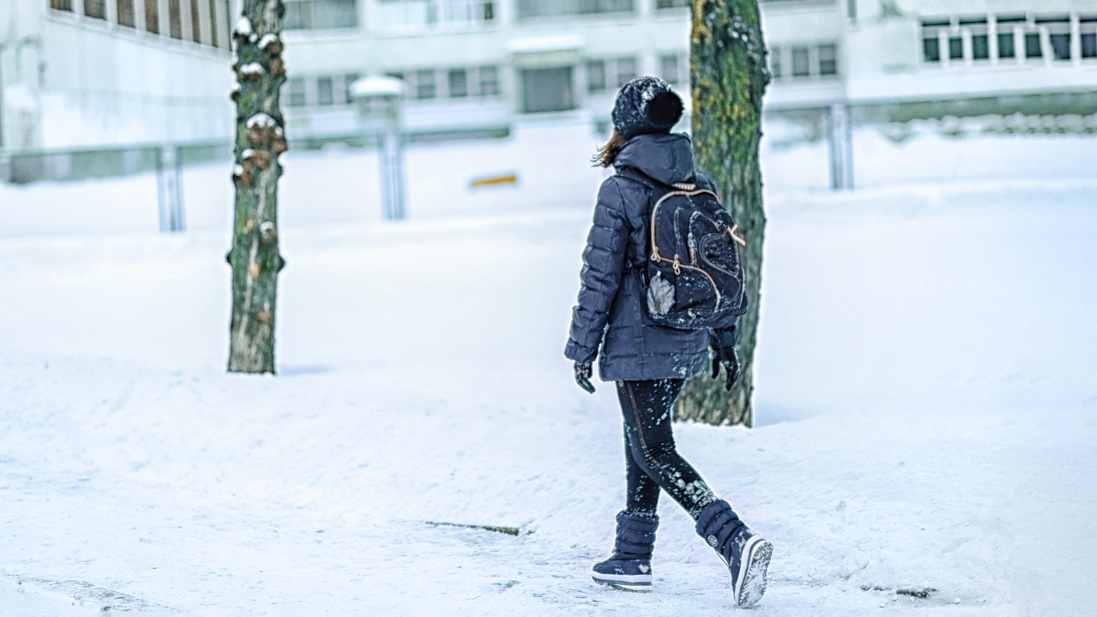 При какой температуре отменяют занятия в школах