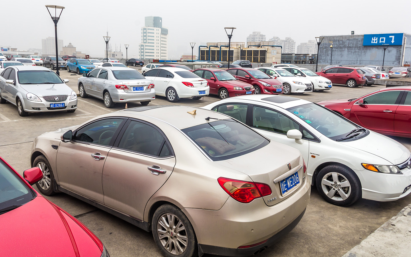 Фото: 06photo / Shutterstock / FOTODOM