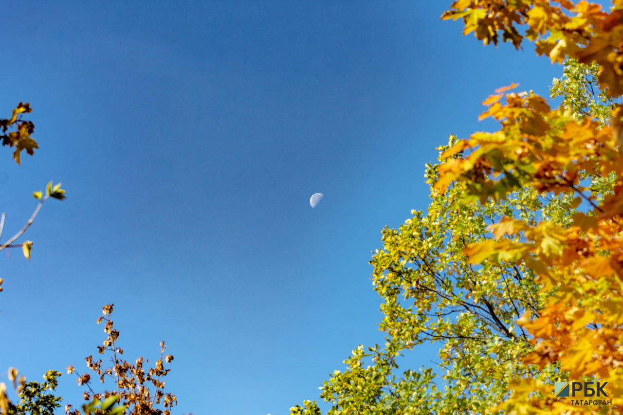 Фото: РБК Татарстан