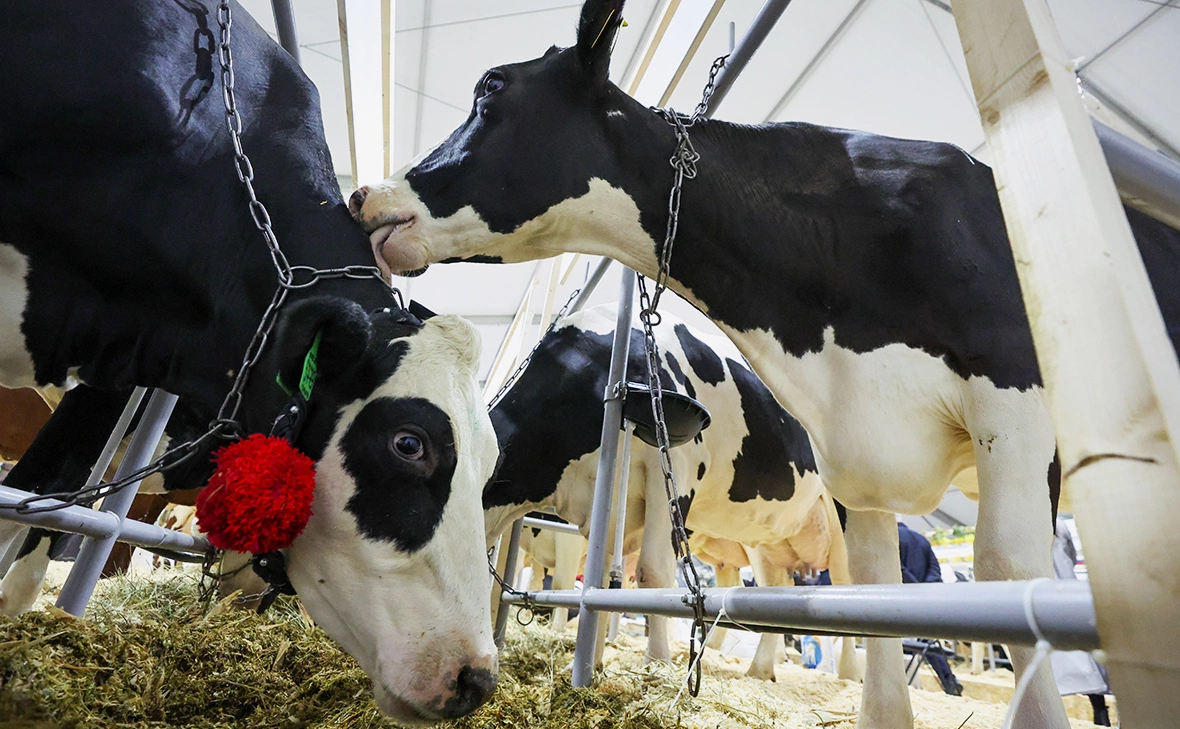 Алексей Белкин / NEWS.ru / Global Look Press