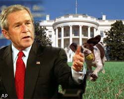 Джордж Буш снял кино