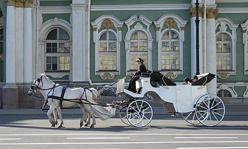 После гибели дочери мэра Сочи в Петербурге проверяют гужевой транспорт
