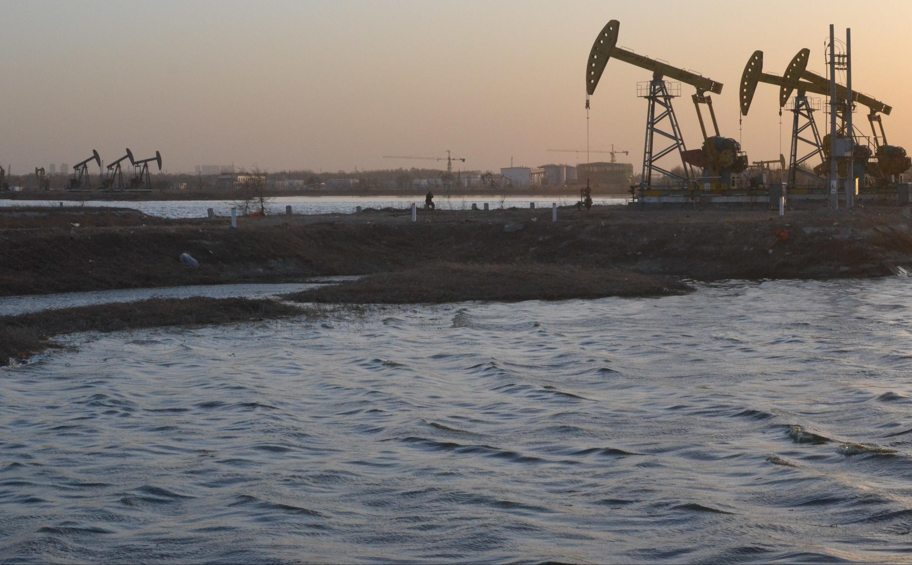 Коммерсантъ узнал о претенденте на долю Shell в СП с Газпром нефтью