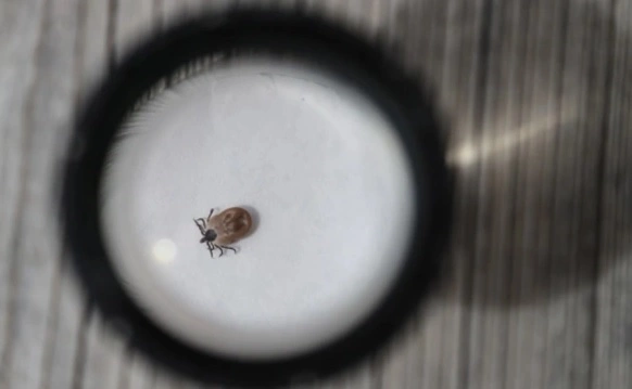 Олеся Курпяева / ТАСС