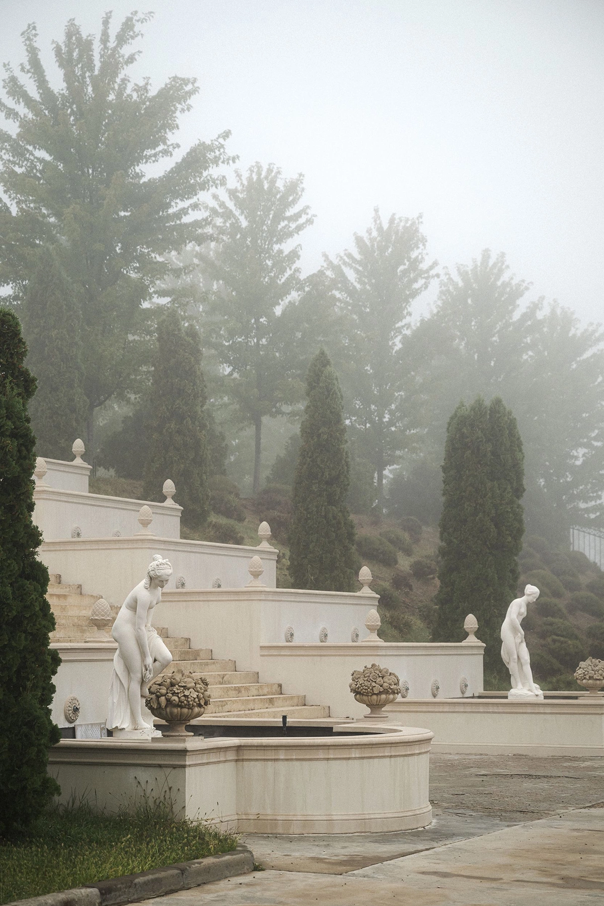 Каждый день оставляет свой след в жизни виноградника. Весной он дышит молодыми побегами и прохладой почвы, летом наполняется тяжелым ароматом трав и прогретого камня, осенью гулко отзывается зрелыми ягодами и влажным воздухом туманов