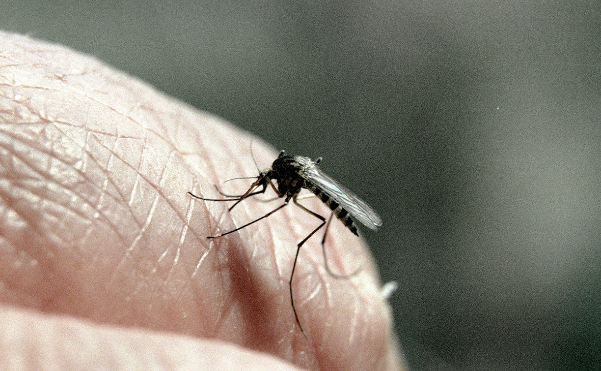 Олег Ласточкин / РИА Новости