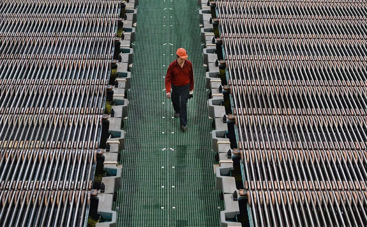 Павел Лисицын / РИА Новости