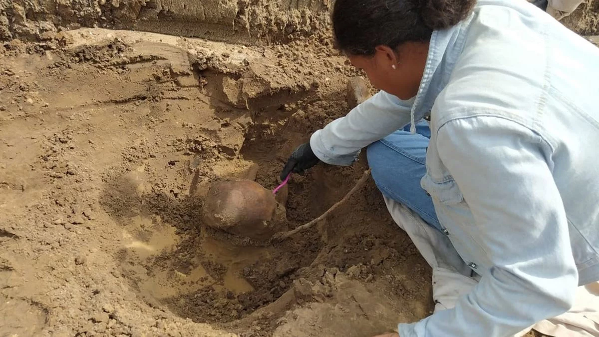 <p>Археолог раскапывает череп на ферме Rosane</p>