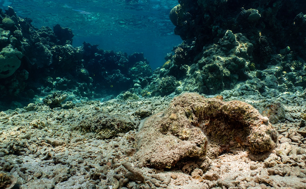 Lukasz Larsson Warzecha / Getty Images