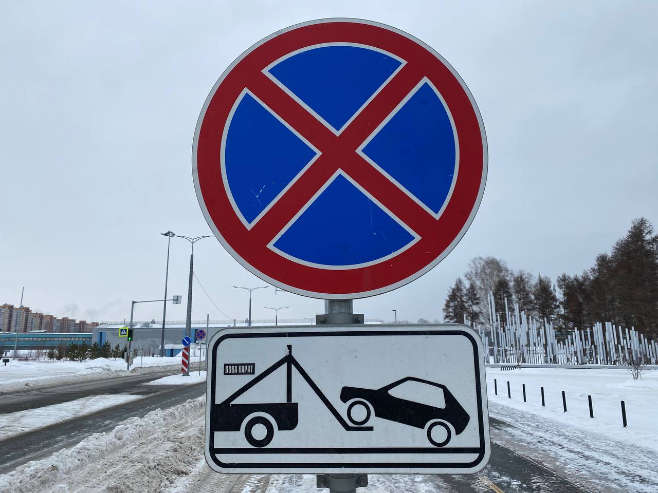 Фото: Михаил Шестаков / РБК Новосибирск