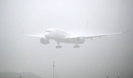 Число задержек прибывающих в Новосибирск рейсов выросло в два раза