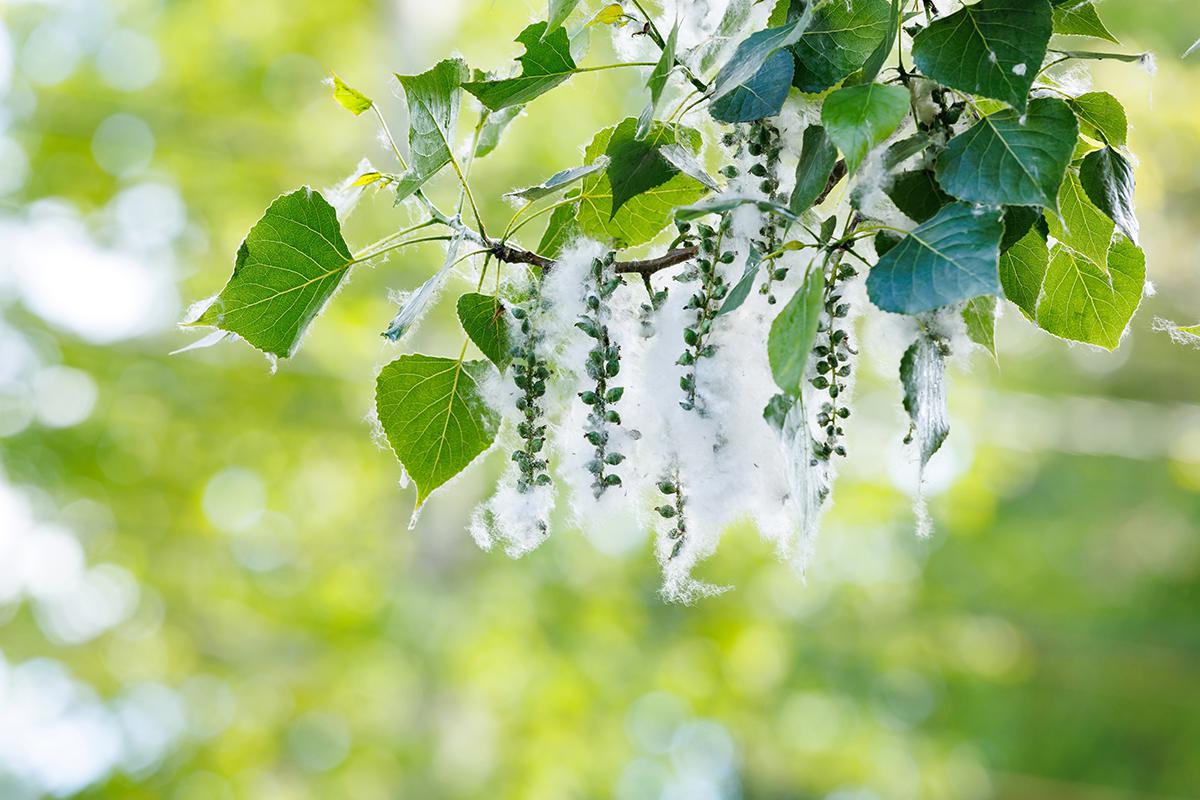 Фото: Den-T / Shutterstock / FOTODOM