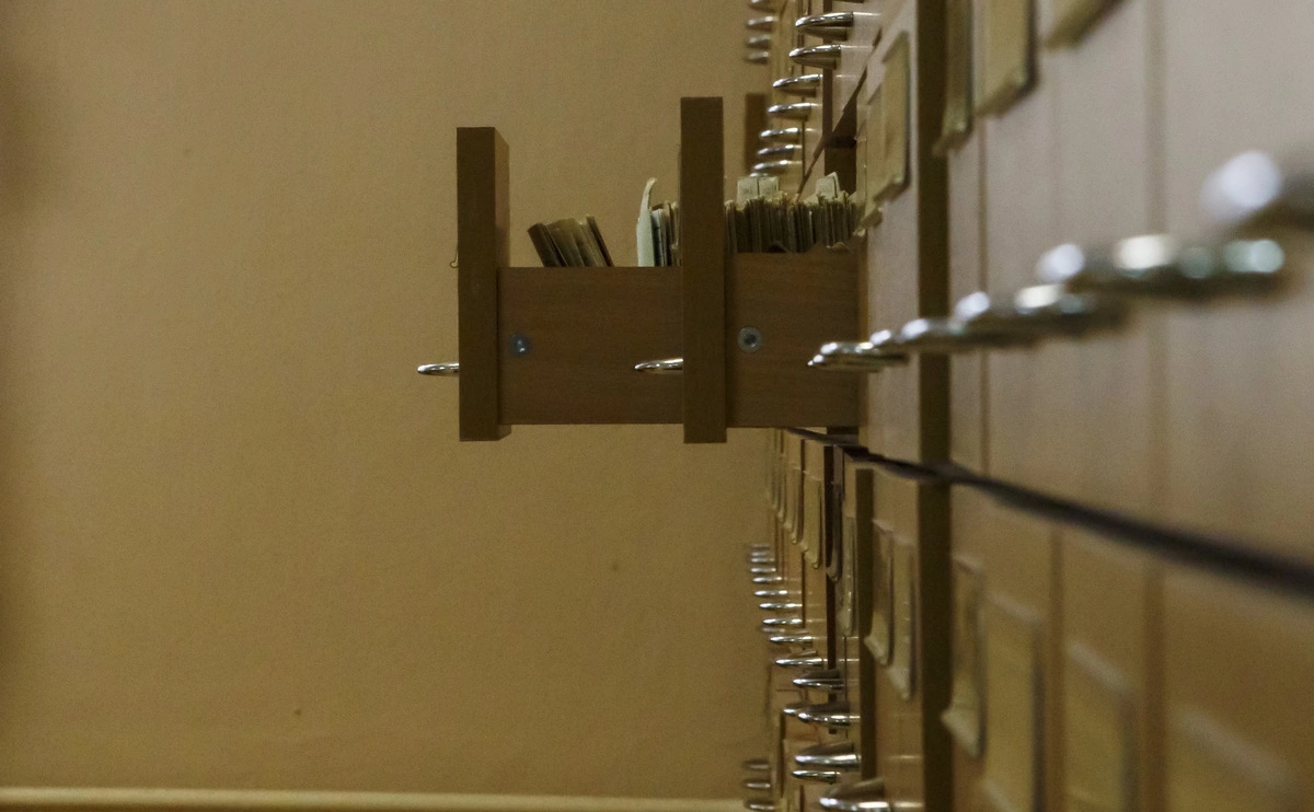 Ярослав Чингаев / ТАСС