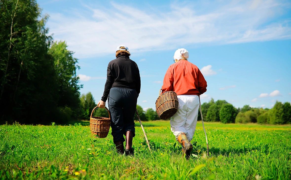 alexkich / Shutterstock