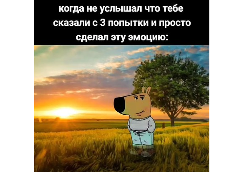 Фото: пользователь fyrflied/TikTok 