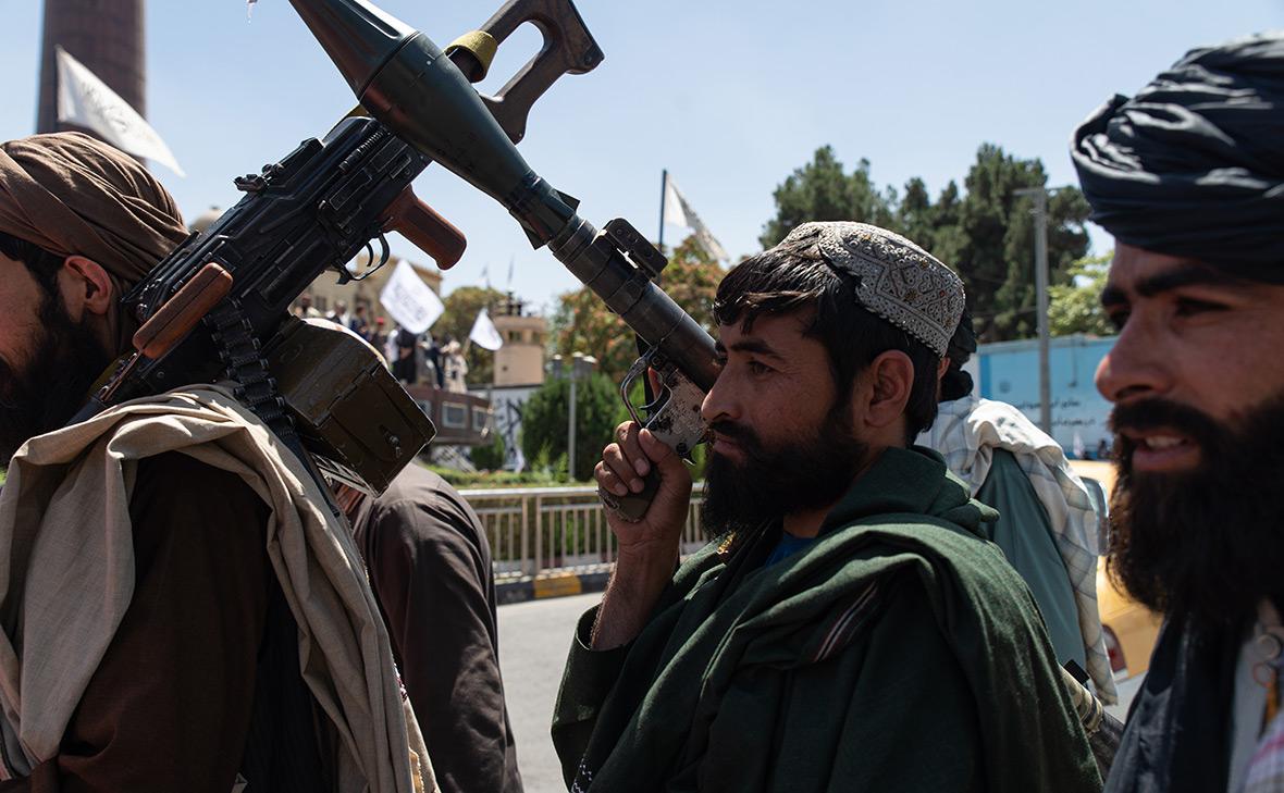 Фото: Nava Jamshidi / Getty Images