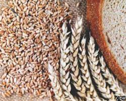 Государство может продать 1,6 млн тонн зерна